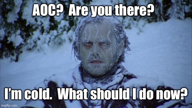 Cold | AOC?  Are you there? I’m cold.  What should I do now? | image tagged in cold | made w/ Imgflip meme maker
