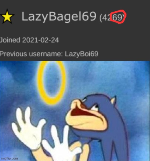 it even has the 42 for bonus points | image tagged in memes,funny,69,hell yeah,sonic derp | made w/ Imgflip meme maker