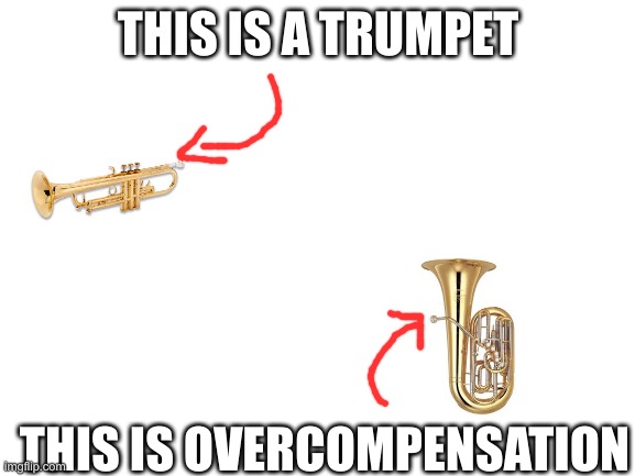 Trumpet club | THIS IS A TRUMPET; THIS IS OVERCOMPENSATION | image tagged in blank white template | made w/ Imgflip meme maker