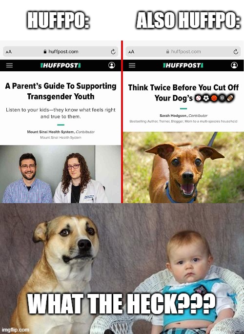 ... | HUFFPO:              ALSO HUFFPO:; ⚾⚽🏀🎱🏈; WHAT THE HECK??? | image tagged in memes,dad joke dog | made w/ Imgflip meme maker