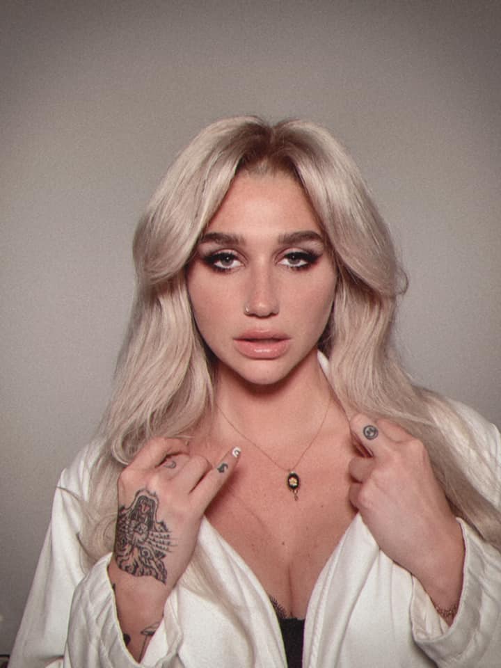 High Quality Kesha quarantine Blank Meme Template