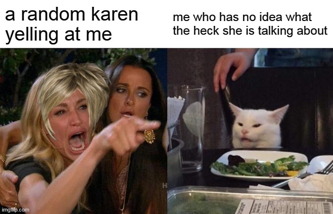 Woman Yelling At Cat | a random karen yelling at me; me who has no idea what the heck she is talking about | image tagged in memes,woman yelling at cat | made w/ Imgflip meme maker