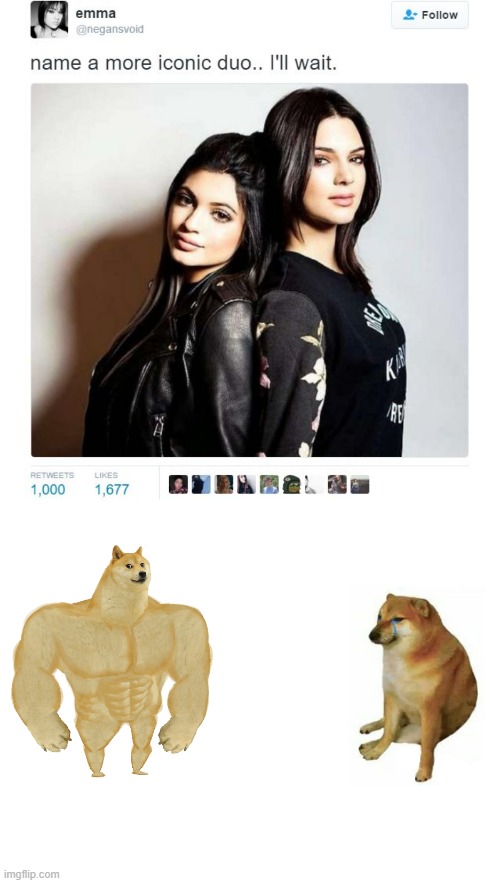 https://imgflip.com/i/4wt9u7 | image tagged in name a more iconic duo,memes,buff doge vs cheems,funny,never gonna give you up | made w/ Imgflip meme maker