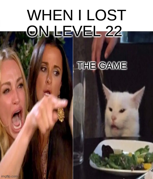 this happens all the time | WHEN I LOST ON LEVEL 22; THE GAME | image tagged in video games | made w/ Imgflip meme maker