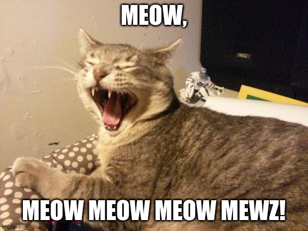 Cat language | MEOW, MEOW MEOW MEOW MEWZ! | image tagged in cat screaming | made w/ Imgflip meme maker