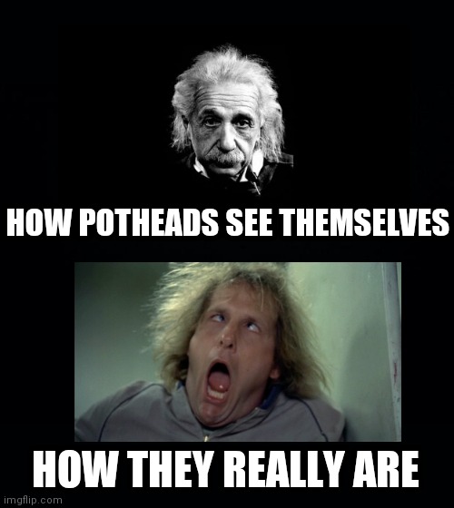 Potheads....they have a "high opinion" of themselves.......get it? | HOW POTHEADS SEE THEMSELVES; HOW THEY REALLY ARE | image tagged in black background,marijuana,pot,opinion,crazy | made w/ Imgflip meme maker