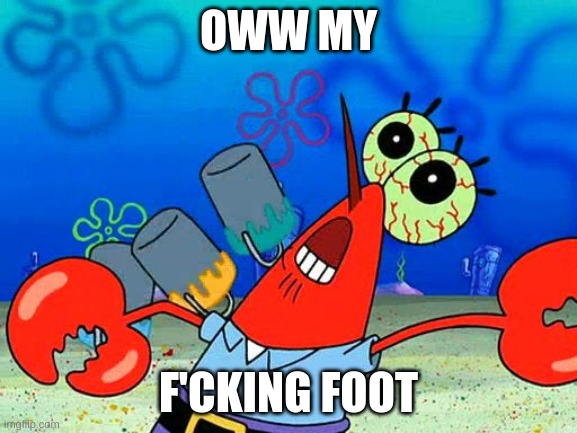 oww my [dolphin noise] foot | OWW MY; F'CKING FOOT | image tagged in oww my dolphin noise foot | made w/ Imgflip meme maker