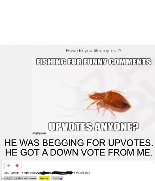 HE WAS BEGGING FOR UPVOTES. HE GOT A DOWN VOTE FROM ME. | image tagged in repost | made w/ Imgflip meme maker