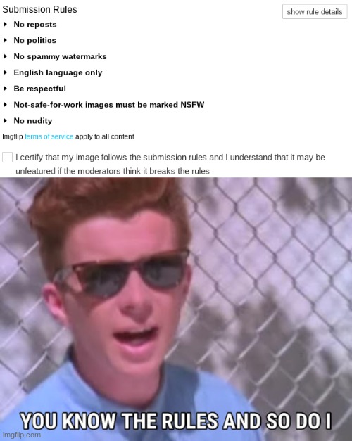 you know the rules imgflip and so do i | image tagged in rick astley you know the rules,lol | made w/ Imgflip meme maker