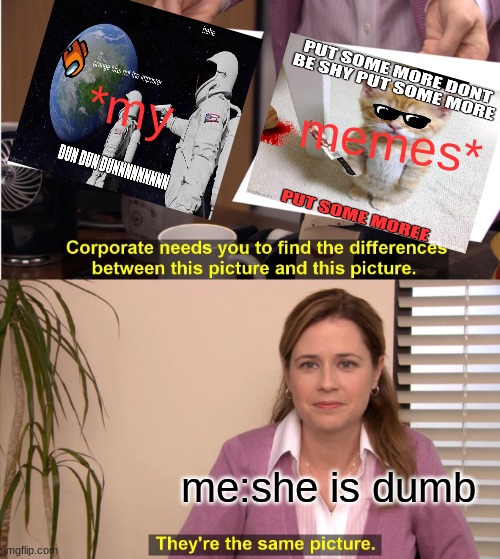 They're The Same Picture | *my; memes*; me:she is dumb | image tagged in memes,they're the same picture | made w/ Imgflip meme maker