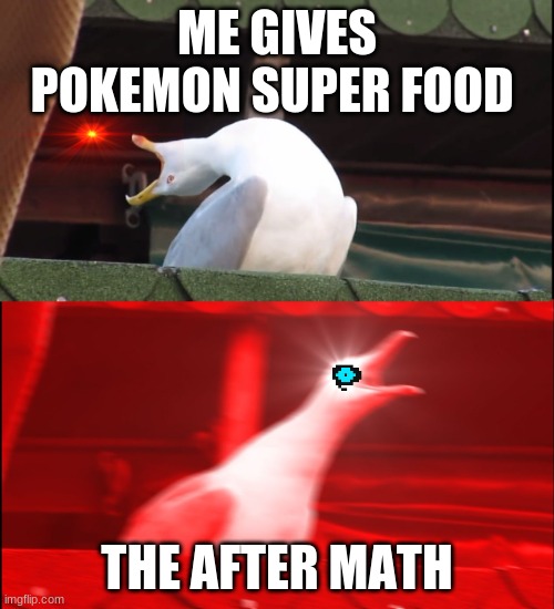 Screaming bird | ME GIVES POKEMON SUPER FOOD; THE AFTER MATH | image tagged in screaming bird | made w/ Imgflip meme maker