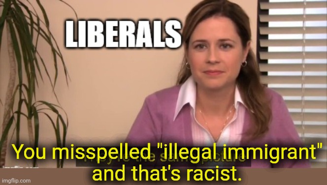You misspelled "illegal immigrant"
and that's racist. | made w/ Imgflip meme maker