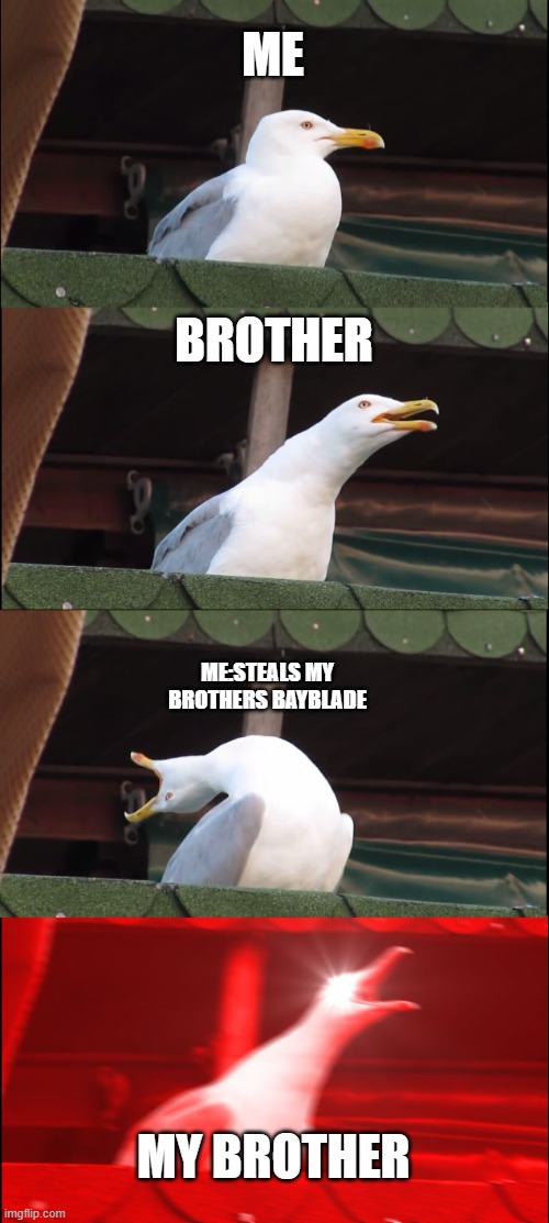 Inhaling Seagull | ME; BROTHER; ME:STEALS MY BROTHERS BAYBLADE; MY BROTHER | image tagged in memes,inhaling seagull | made w/ Imgflip meme maker