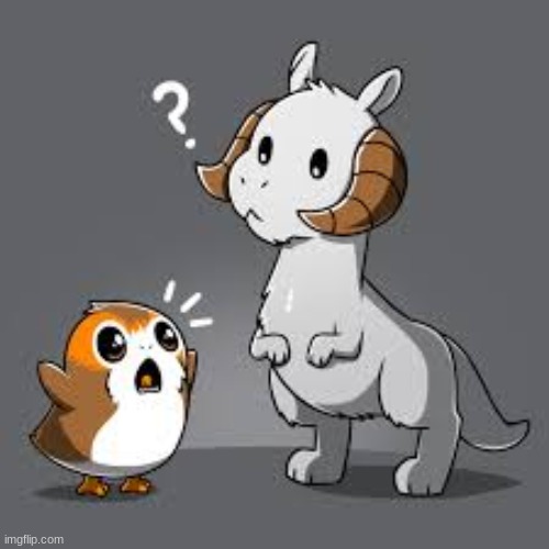 this is so cute i just had to | image tagged in star wars,tauntaun,porg,cute | made w/ Imgflip meme maker