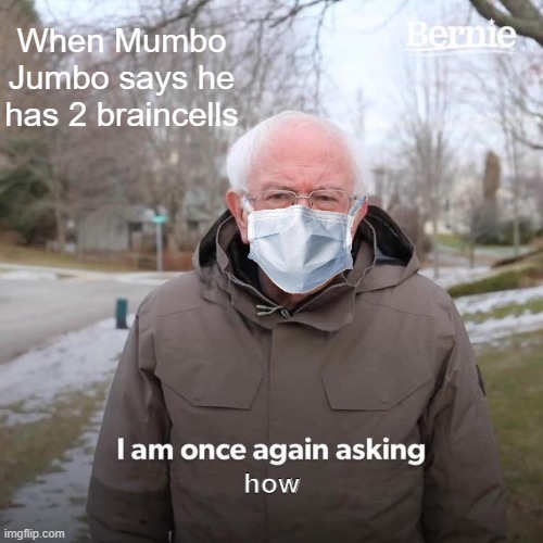 Bernie I Am Once Again Asking For Your Support | When Mumbo Jumbo says he has 2 braincells; how | image tagged in memes,bernie i am once again asking for your support | made w/ Imgflip meme maker