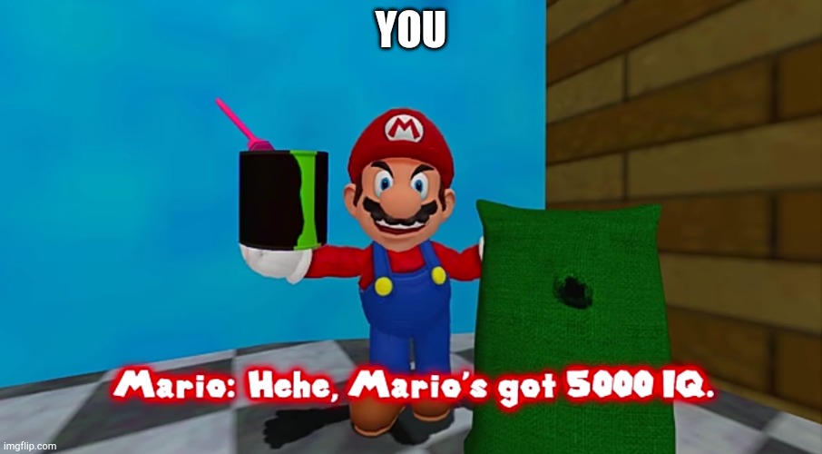 Hehe. Marios got 5000 IQ | YOU | image tagged in hehe marios got 5000 iq | made w/ Imgflip meme maker