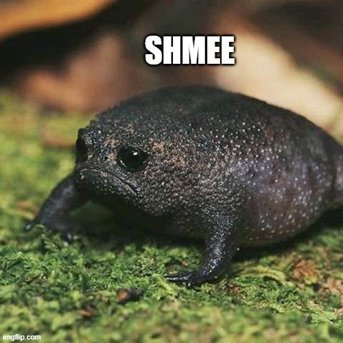 SHMEE | made w/ Imgflip meme maker