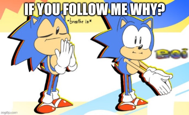 Sonic Boi | IF YOU FOLLOW ME WHY? | image tagged in sonic boi | made w/ Imgflip meme maker