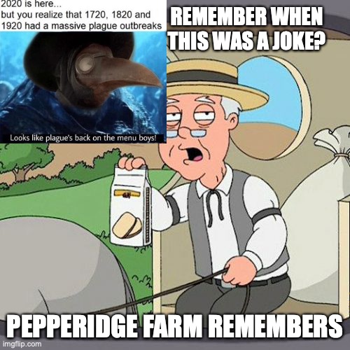 I certainly remember | REMEMBER WHEN THIS WAS A JOKE? PEPPERIDGE FARM REMEMBERS | image tagged in memes,pepperidge farm remembers,coronavirus | made w/ Imgflip meme maker