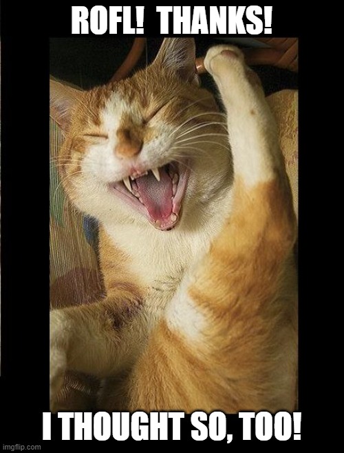 Laughing Cat | ROFL!  THANKS! I THOUGHT SO, TOO! | image tagged in laughing cat | made w/ Imgflip meme maker