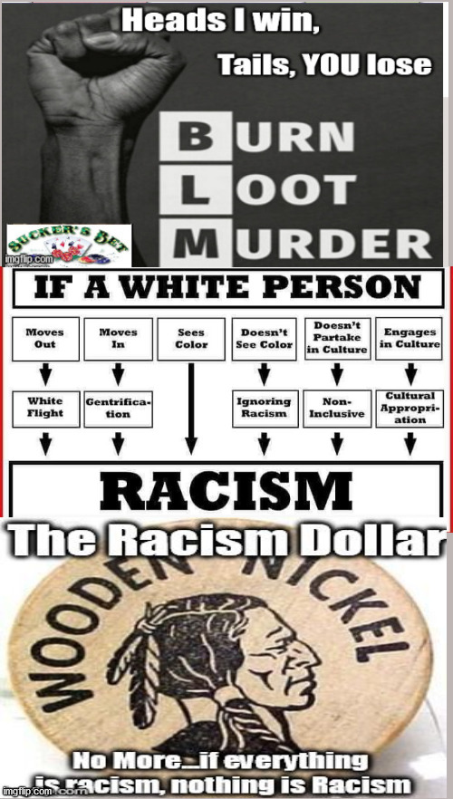 Heads I win, tails you lose....The Racism RUSE | image tagged in racism ruse,rejectavist,critical theory,shuck and jive,the big lie | made w/ Imgflip meme maker