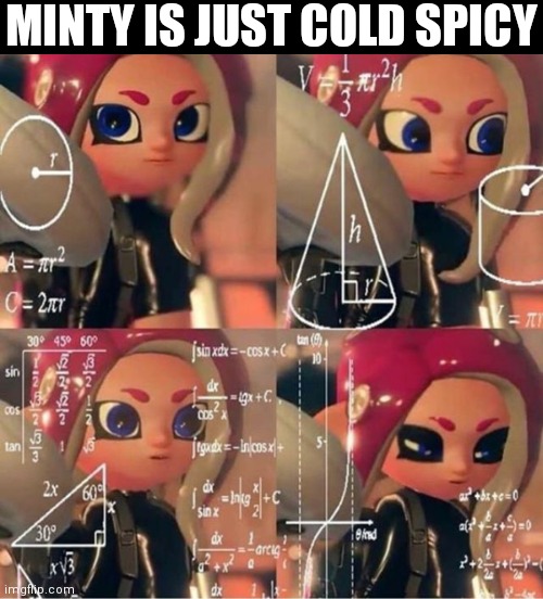 Veemo | MINTY IS JUST COLD SPICY | image tagged in veemo | made w/ Imgflip meme maker