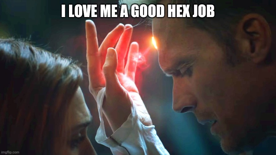 I LOVE ME A GOOD HEX JOB | image tagged in wandavision | made w/ Imgflip meme maker
