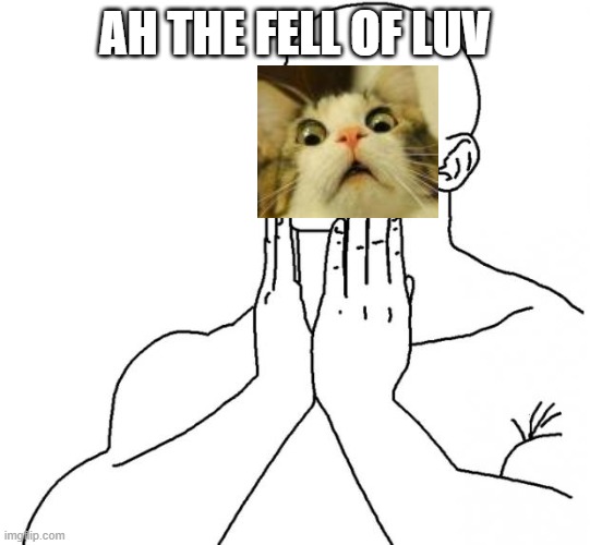 Feels Good Man | AH THE FELL OF LUV | image tagged in feels good man | made w/ Imgflip meme maker