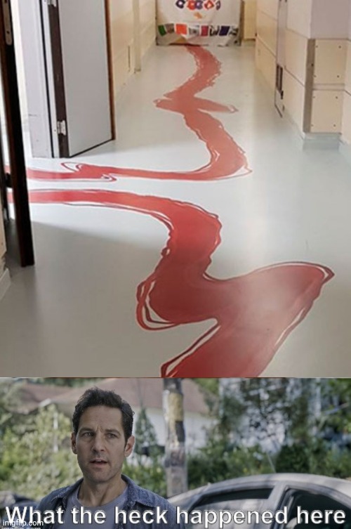 What is this | image tagged in antman what the heck happened here,funny memes,you had one job just the one,fails | made w/ Imgflip meme maker