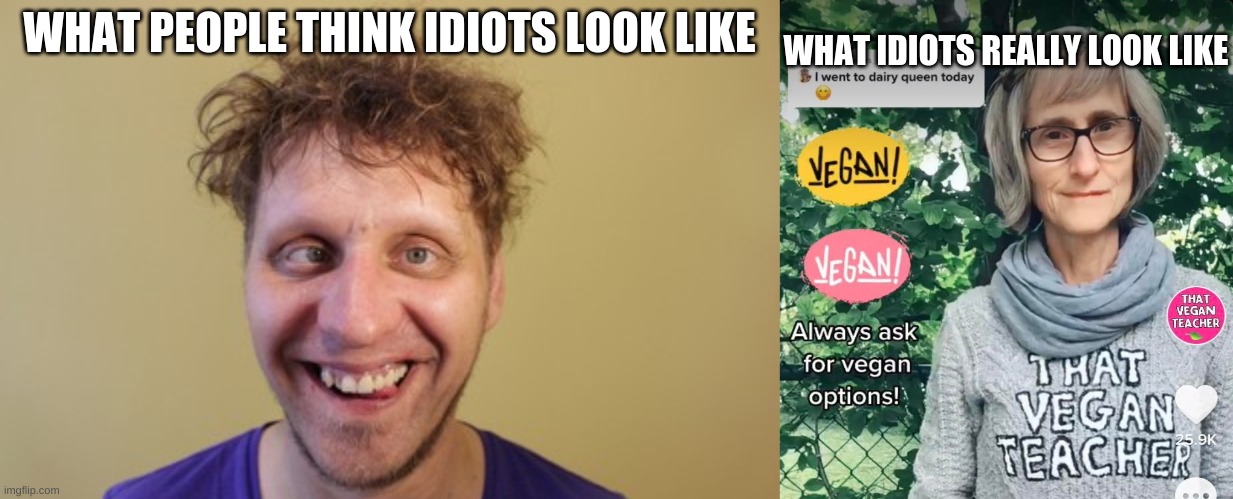 That vegan teacher is the worst TikToker | WHAT IDIOTS REALLY LOOK LIKE; WHAT PEOPLE THINK IDIOTS LOOK LIKE | made w/ Imgflip meme maker