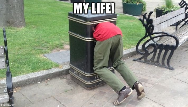 Guy in trash can | MY LIFE! | image tagged in guy in trash can | made w/ Imgflip meme maker