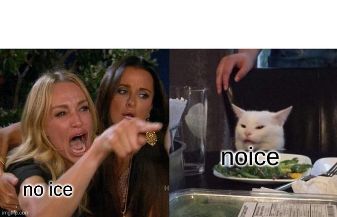 Woman Yelling At Cat | noice; no ice | image tagged in memes,woman yelling at cat | made w/ Imgflip meme maker