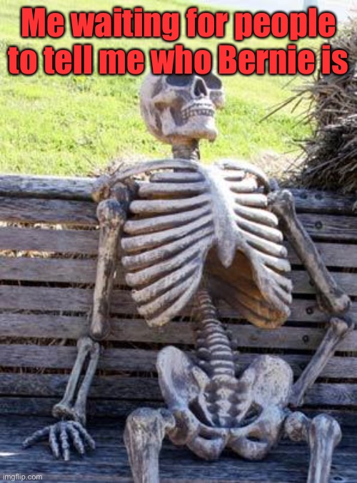 Waiting Skeleton | Me waiting for people to tell me who Bernie is | image tagged in memes,waiting skeleton | made w/ Imgflip meme maker