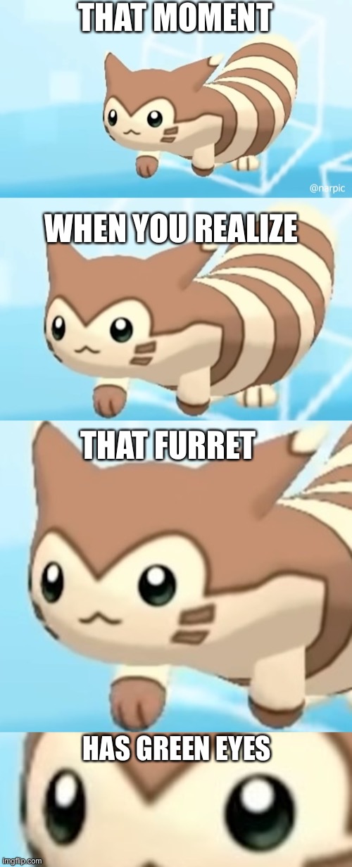  THAT MOMENT; WHEN YOU REALIZE; THAT FURRET; HAS GREEN EYES | image tagged in furret walcc | made w/ Imgflip meme maker
