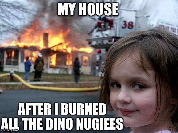 Fax | MY HOUSE; AFTER I BURNED ALL THE DINO NUGIEES | image tagged in memes,disaster girl | made w/ Imgflip meme maker