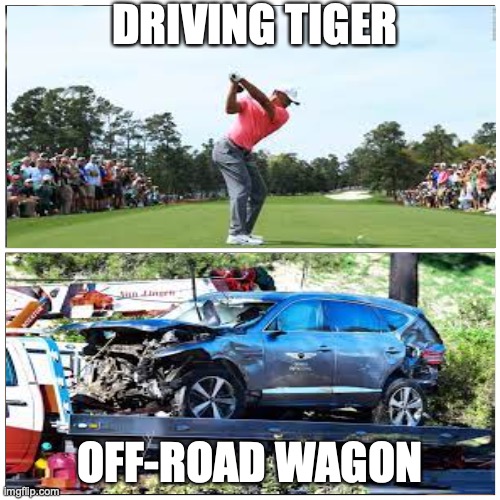 Too Soon Tiger | DRIVING TIGER; OFF-ROAD WAGON | image tagged in taken splitscreen | made w/ Imgflip meme maker