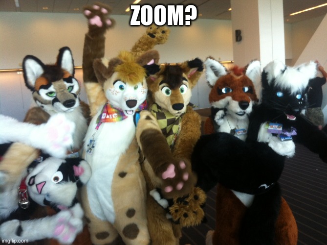 Furries | ZOOM? | image tagged in furries | made w/ Imgflip meme maker