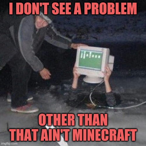 Thats called: Determination | I DON'T SEE A PROBLEM; OTHER THAN THAT AIN'T MINECRAFT | image tagged in determination,i can do anything | made w/ Imgflip meme maker