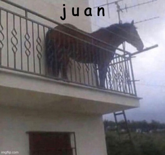 Juan | j u a n | image tagged in juan | made w/ Imgflip meme maker