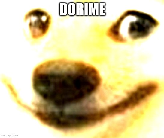 holy | DORIME | image tagged in doge,never gonna give you up,never gonna let you down | made w/ Imgflip meme maker