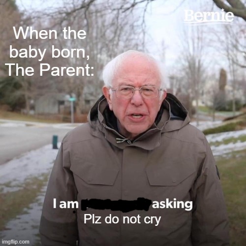 Bernie I Am Once Again Asking For Your Support Meme | When the baby born, The Parent: Plz do not cry | image tagged in memes,bernie i am once again asking for your support | made w/ Imgflip meme maker