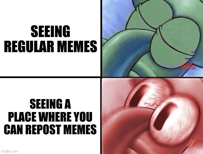 guys this is real talking there is a site on imgflip where you can repost | SEEING REGULAR MEMES; SEEING A PLACE WHERE YOU CAN REPOST MEMES | image tagged in sleeping squidward,reality,dont,but thats none of my business,plz | made w/ Imgflip meme maker