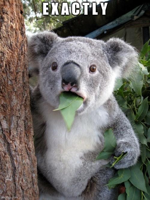 oR eLlS | E X A C T L Y | image tagged in memes,surprised koala | made w/ Imgflip meme maker