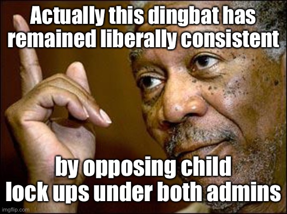 This Morgan Freeman | Actually this dingbat has remained liberally consistent by opposing child lock ups under both admins | image tagged in this morgan freeman | made w/ Imgflip meme maker