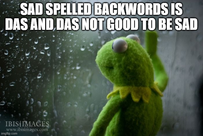 Das not good | SAD SPELLED BACKWORDS IS DAS AND DAS NOT GOOD TO BE SAD | image tagged in kermit window | made w/ Imgflip meme maker