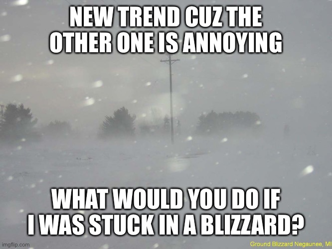 snow blizzard | NEW TREND CUZ THE OTHER ONE IS ANNOYING; WHAT WOULD YOU DO IF I WAS STUCK IN A BLIZZARD? | image tagged in snow blizzard | made w/ Imgflip meme maker