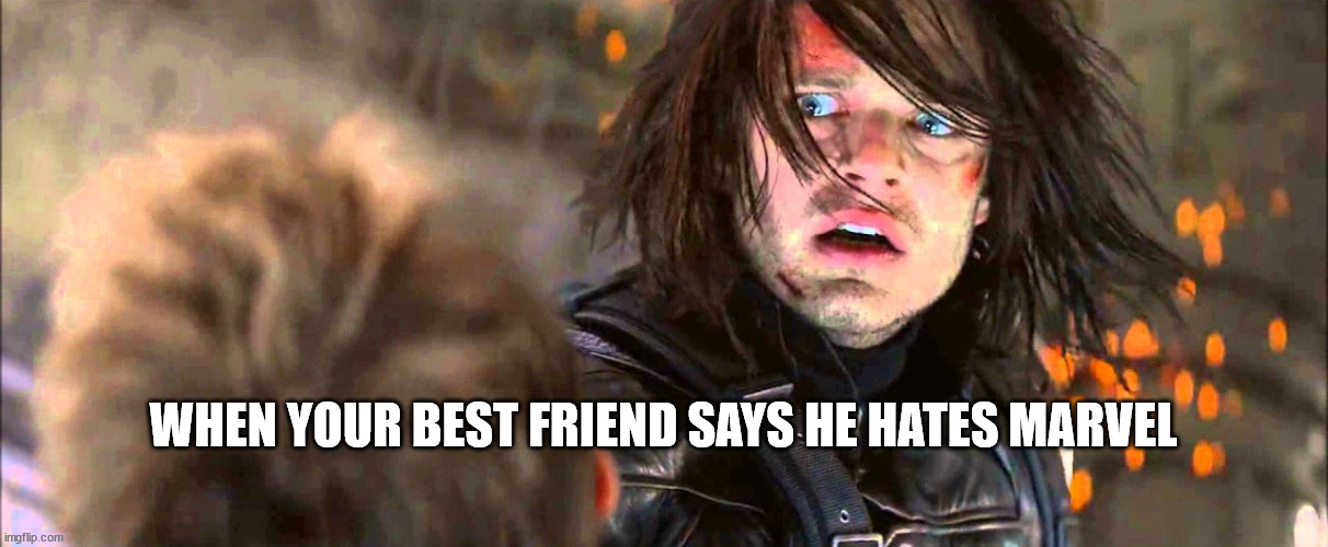 "Then finish it, because I'm with you till the end of the line." | WHEN YOUR BEST FRIEND SAYS HE HATES MARVEL | image tagged in marvel,captain america,winter soldier | made w/ Imgflip meme maker