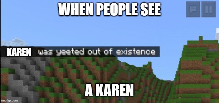 Minecraft death | WHEN PEOPLE SEE; KAREN; A KAREN | image tagged in minecraft death | made w/ Imgflip meme maker