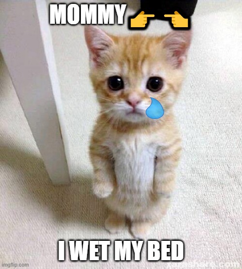 Cute Cat | MOMMY👉👈; I WET MY BED | image tagged in memes,cute cat | made w/ Imgflip meme maker