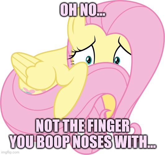 Scared, no boops Fluttershy | OH NO... NOT THE FINGER YOU BOOP NOSES WITH... | image tagged in fluttershy,my little pony,memes | made w/ Imgflip meme maker